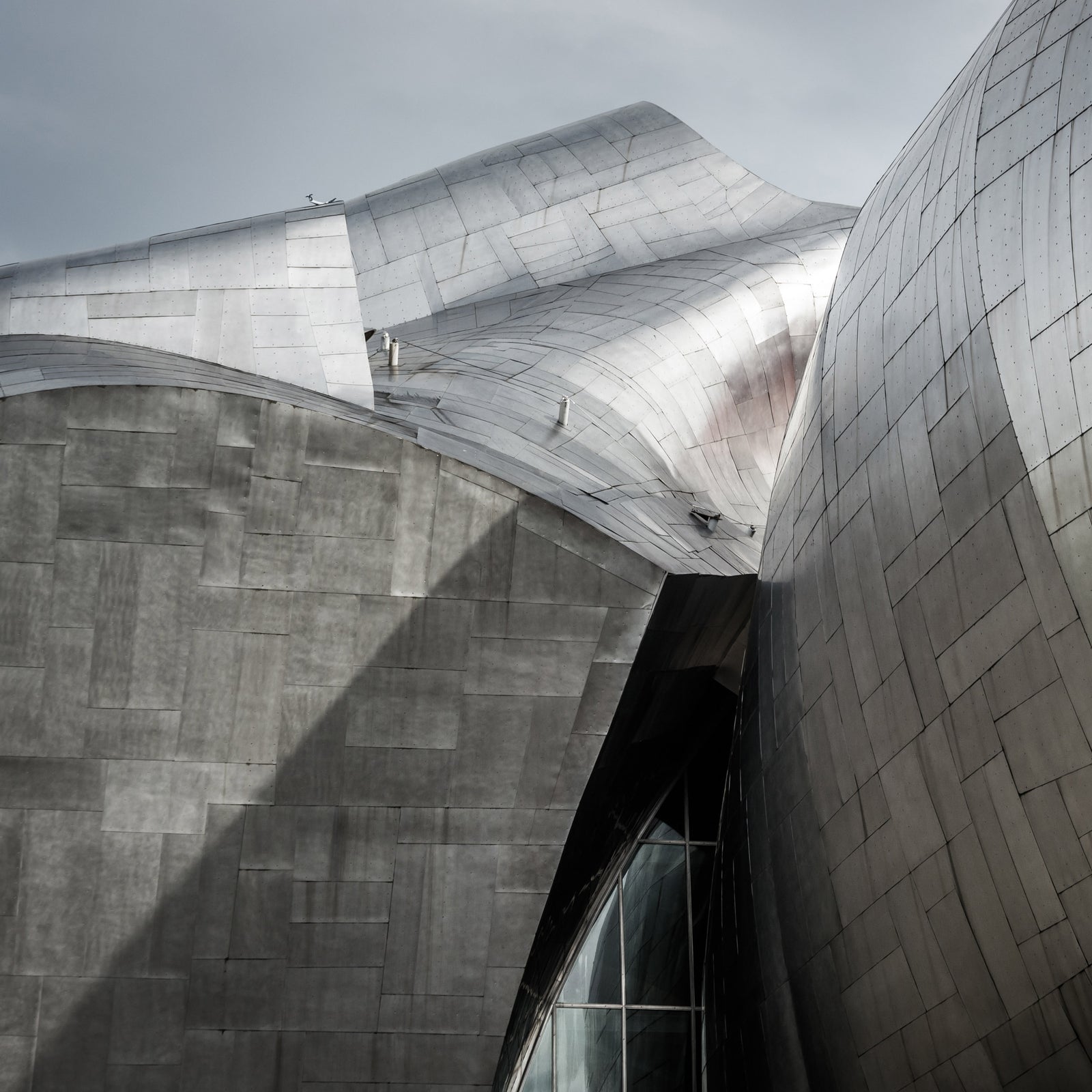 Contact Root & Associates